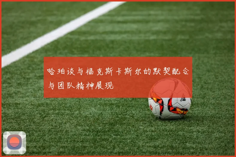 哈珀谈与福克斯卡斯尔的默契配合与团队精神展现